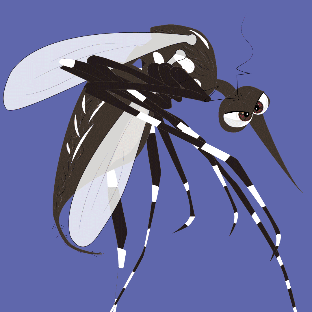Dengue-Malaria-Chikungunya